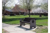 A stone bench on a paved walkway in a grassy outdoor area with several trees, some of which are blooming with white flowers, and a brick building in the background under a clear sky.