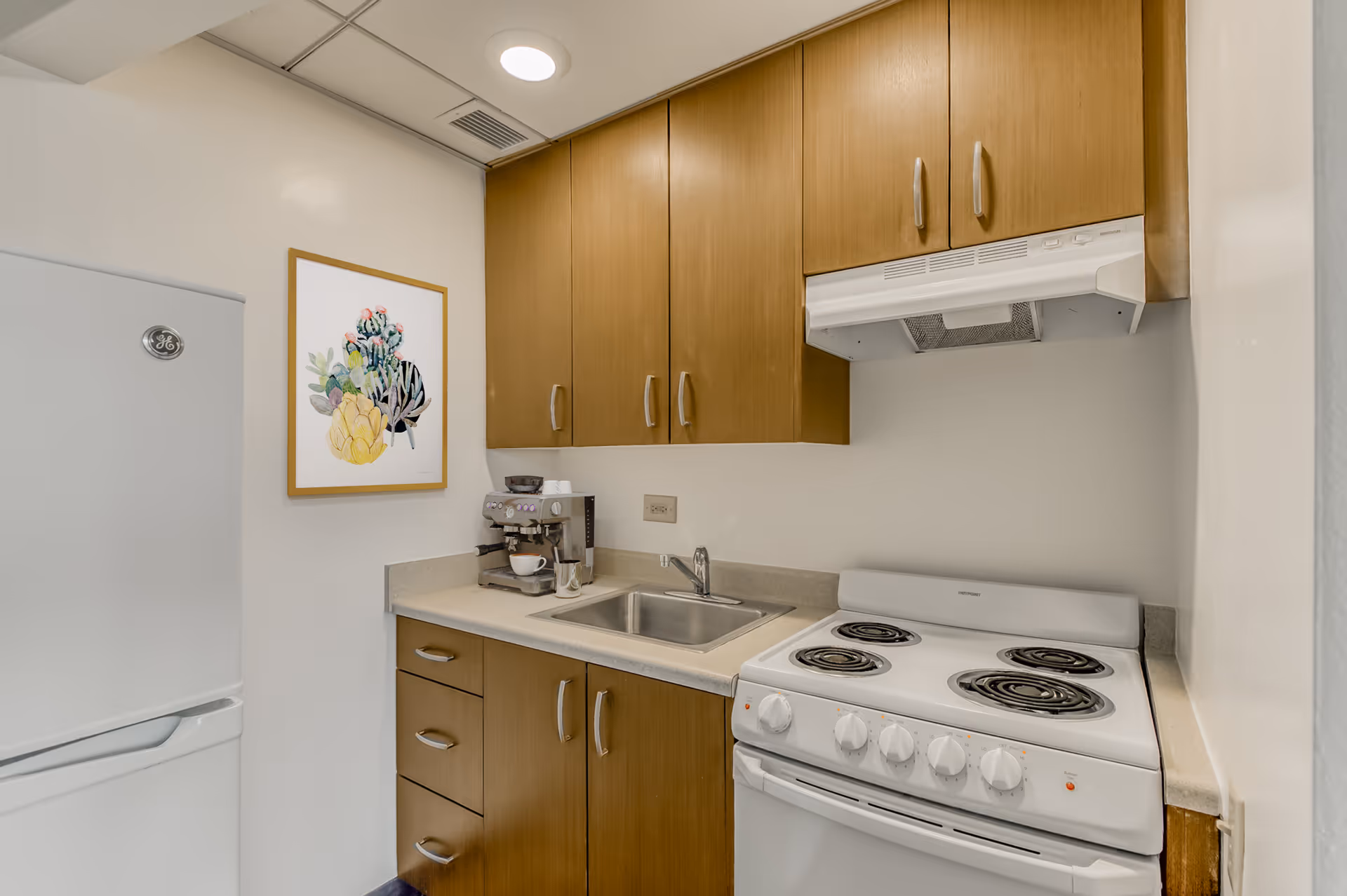 A small kitchen area featuring wooden cabinets, a white electric stove with four coil burners and an overhead range hood, a stainless steel sink, a coffee machine on the countertop, and a white refrigerator. A framed artwork of colorful succulents hangs on the wall.