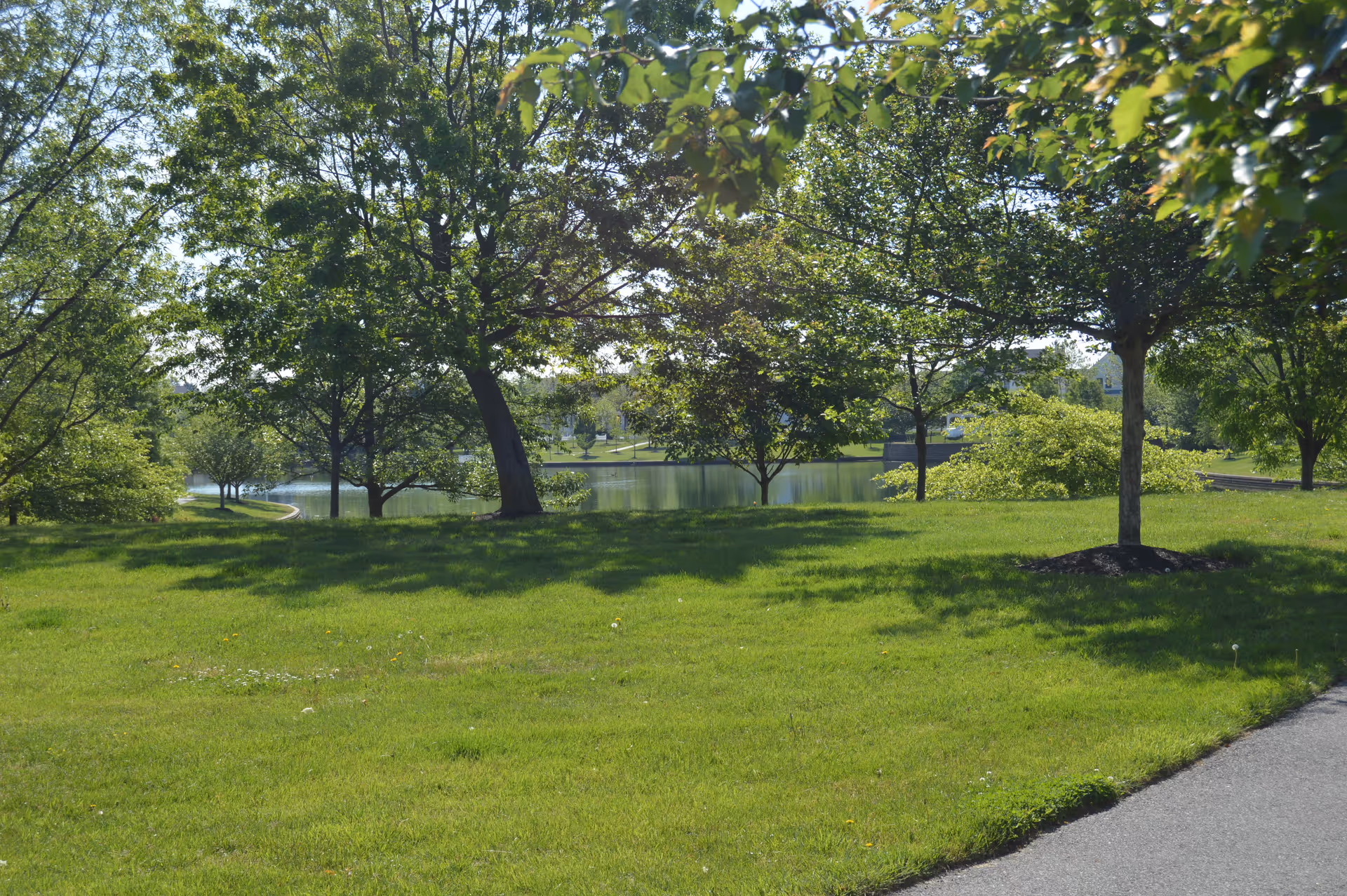 A peaceful outdoor scene at Rose Hill featuring a green lawn, several leafy trees, and a small body of water in the background under a clear sky.