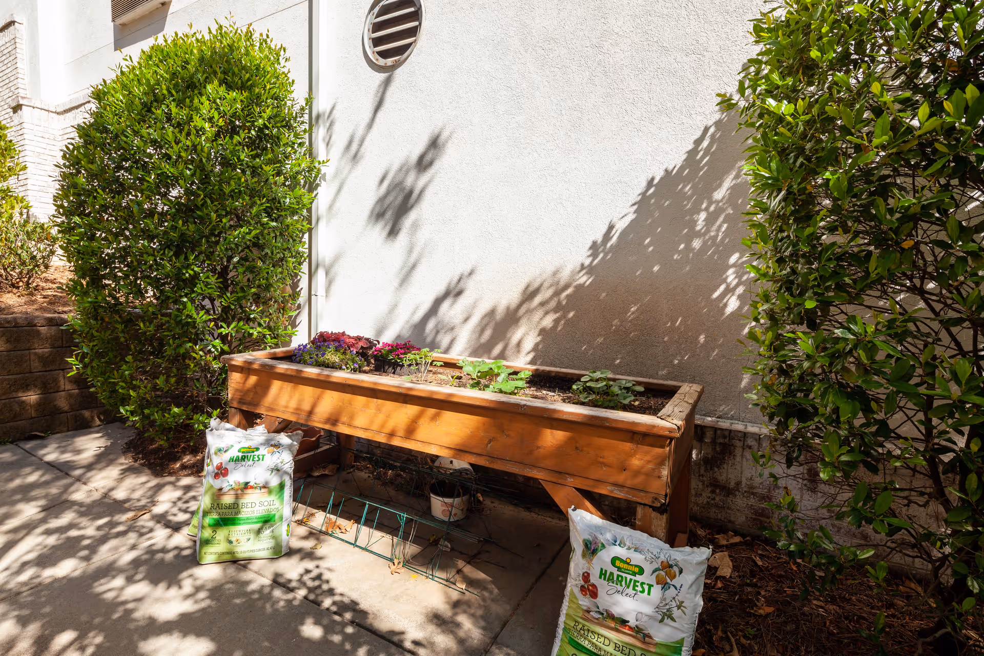 Outdoor area with a wooden raised garden bed containing small plants and flowers, flanked by two bags of raised bed soil. The garden bed is situated against a white wall with a circular vent, surrounded by green bushes and shaded by nearby trees.
