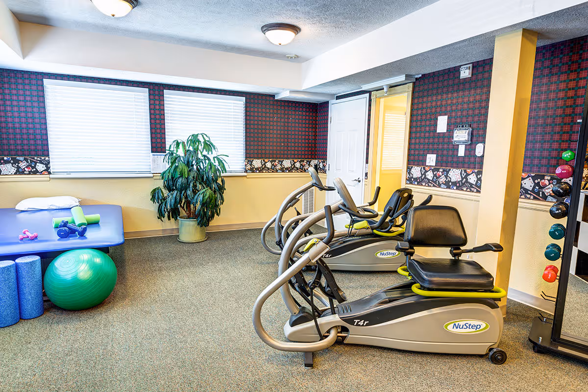 A small exercise room with two NuStep T4r recumbent cross trainers, a blue exercise mat with small dumbbells and foam rollers on it, a green exercise ball, and a potted plant near two windows with blinds. The walls have a red and black plaid wallpaper with a decorative border featuring playing cards and dice.