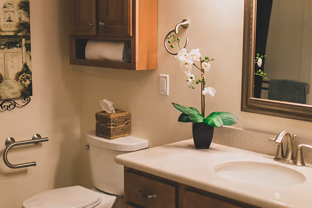 A bathroom with a toilet, a wicker tissue box on the toilet tank, a wooden cabinet mounted on the wall holding a roll of toilet paper, a countertop with a sink and faucet, a potted white orchid plant, a mirror above the sink, and a grab bar on the wall next to the toilet.