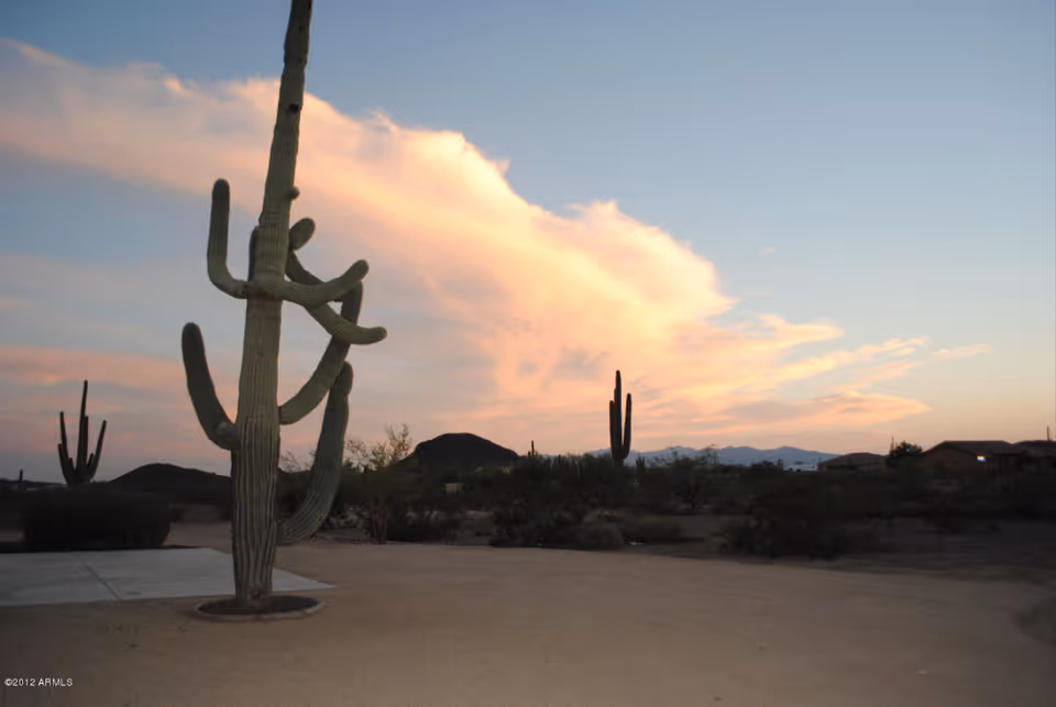 Desert landscape at sunset with large saguaro cacti, low bushes, and distant mountains under a sky with soft pink and orange clouds.