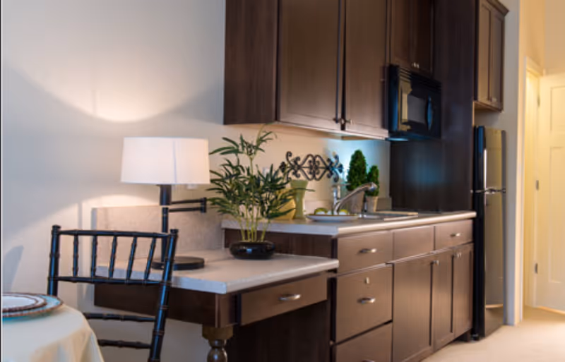 Small kitchen area with dark wood cabinets, a countertop and sink, a microwave, a lamp and potted plants on the counter, and a chair and table at left.