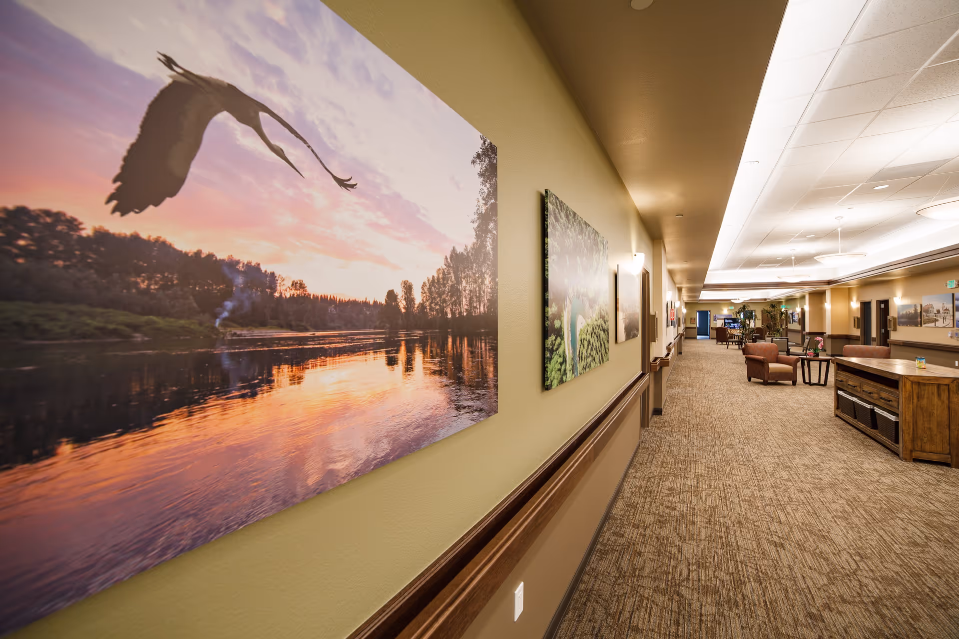 A long, well-lit hallway in a senior living facility with carpeted floors and beige walls adorned with large nature-themed photographs. The hallway features comfortable seating areas with armchairs and small tables, as well as wooden furniture along the walls. The ceiling has recessed lighting and ceiling fans.