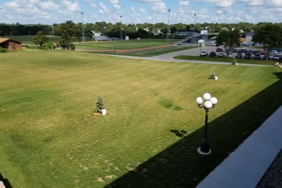 A large grassy outdoor area with a few small trees planted in the lawn. In the background, there is a baseball field with bleachers and light poles. A parking lot with several cars is visible to the right, and a sidewalk runs along the right side of the image next to a building casting a shadow. The sky is partly cloudy.