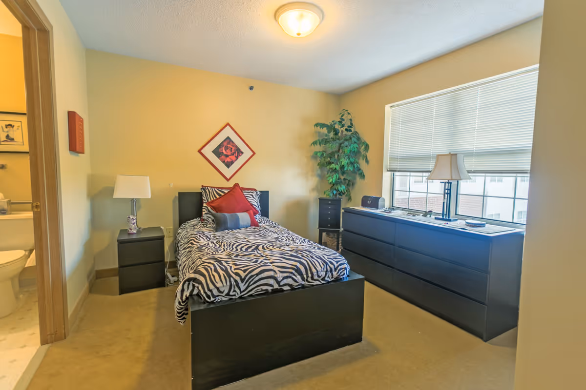 Single-occupancy bedroom with zebra-print bedding, nightstand, dresser, lamp and a window with blinds, with an en-suite bathroom visible to the left.