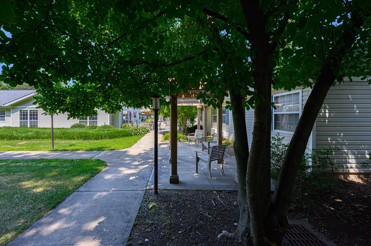 Outdoor walkway at Arden Courts - ProMedica Memory Care Community (Farmington) shaded by a large tree with green leaves. There are benches along the concrete path next to the building with beige siding and white-framed windows. The area is surrounded by grass and landscaping.