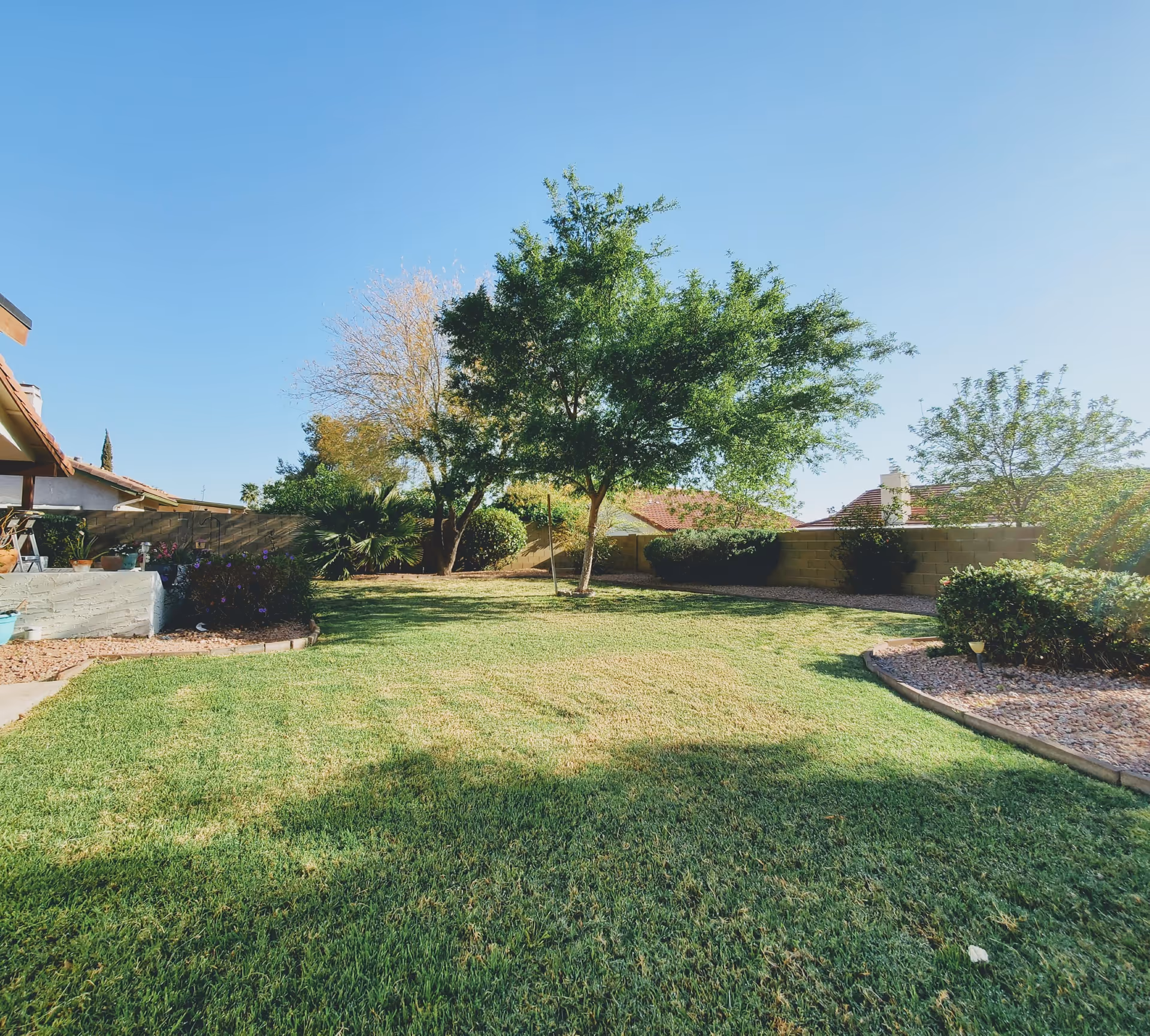 A sunny outdoor garden area with a well-maintained green lawn, several trees, bushes, and a stone-bordered flower bed. A house with a tiled roof is partially visible on the left side, and a brick wall encloses the garden.