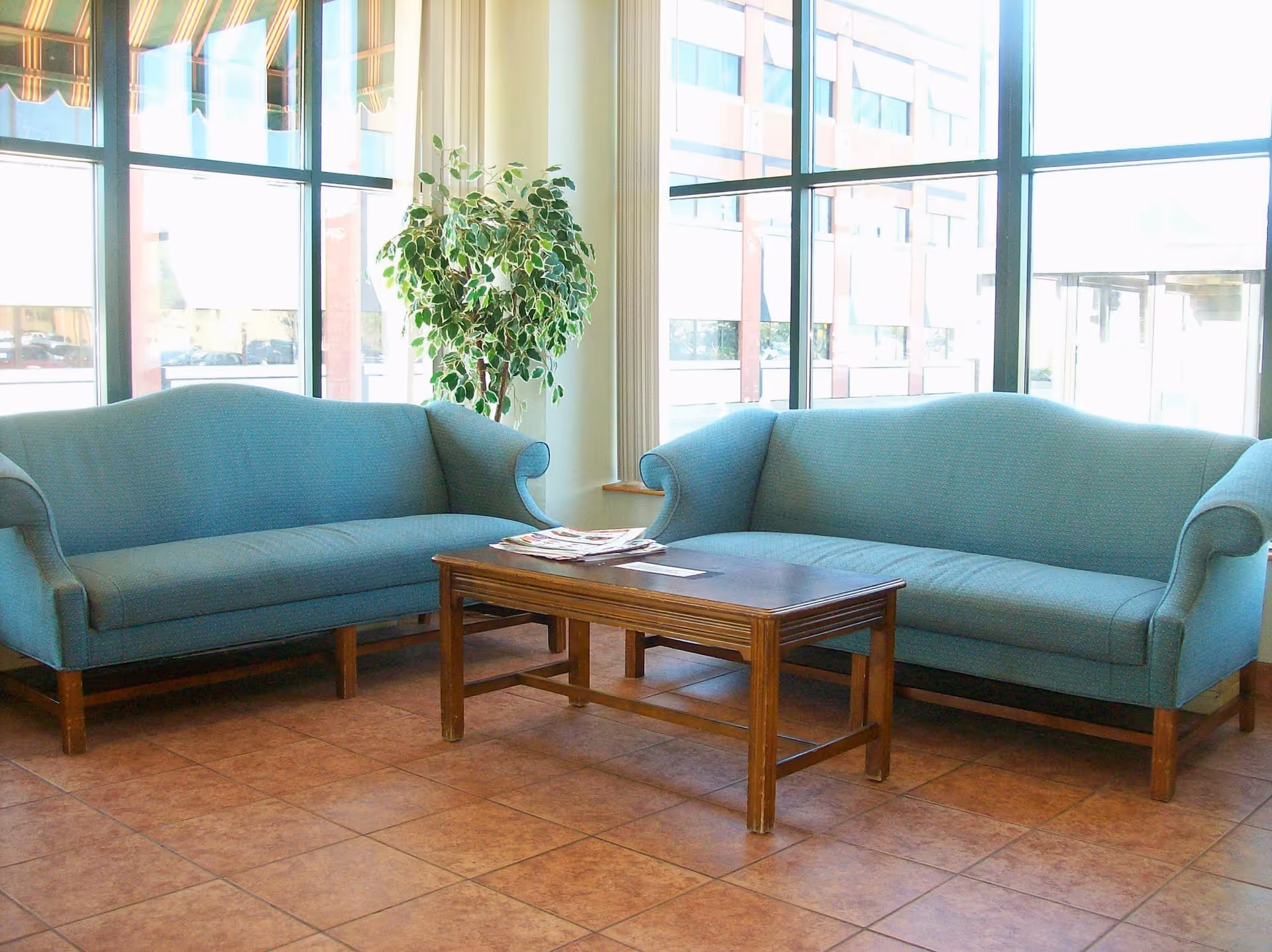A bright seating area with two blue upholstered sofas facing each other and a wooden coffee table in between. There is a potted plant in the corner near large windows that let in natural light, showing a view of buildings outside.