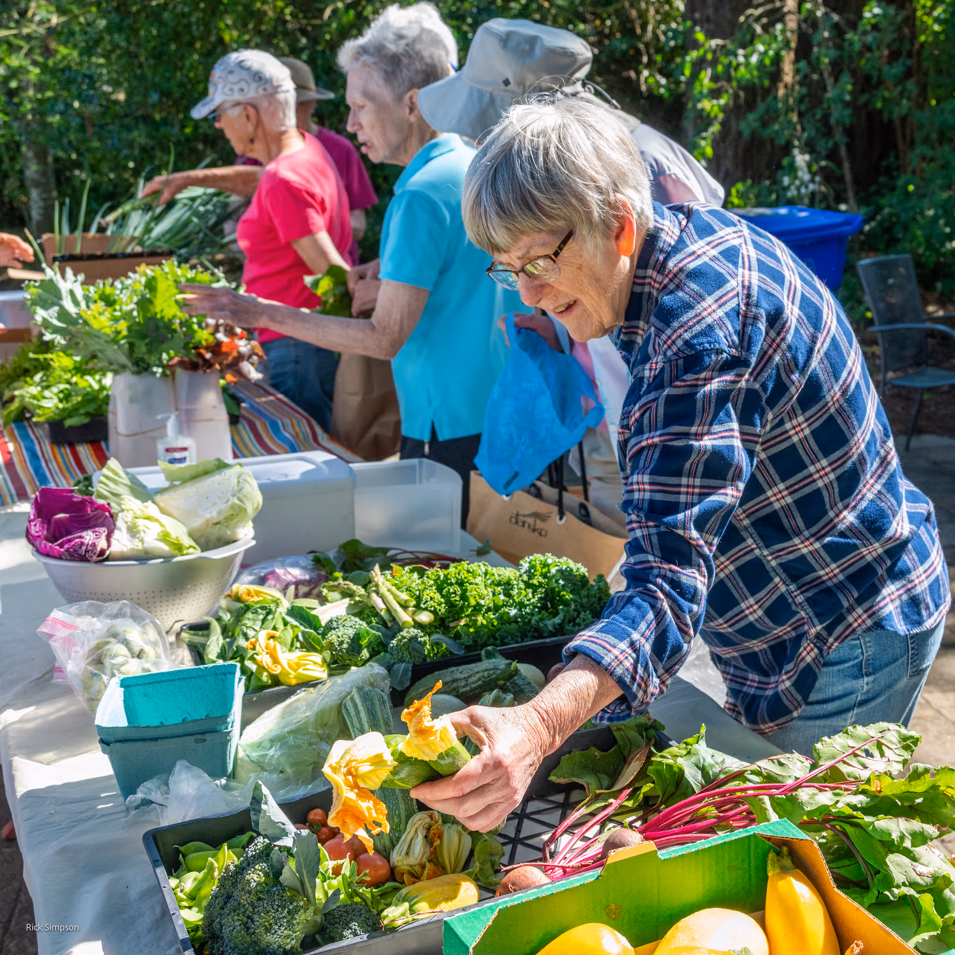 A group of elderly people outdoors at a market-style table filled with fresh vegetables including broccoli, lettuce, squash blossoms, and bananas. One woman in a plaid shirt is reaching for a vegetable while others browse the produce.