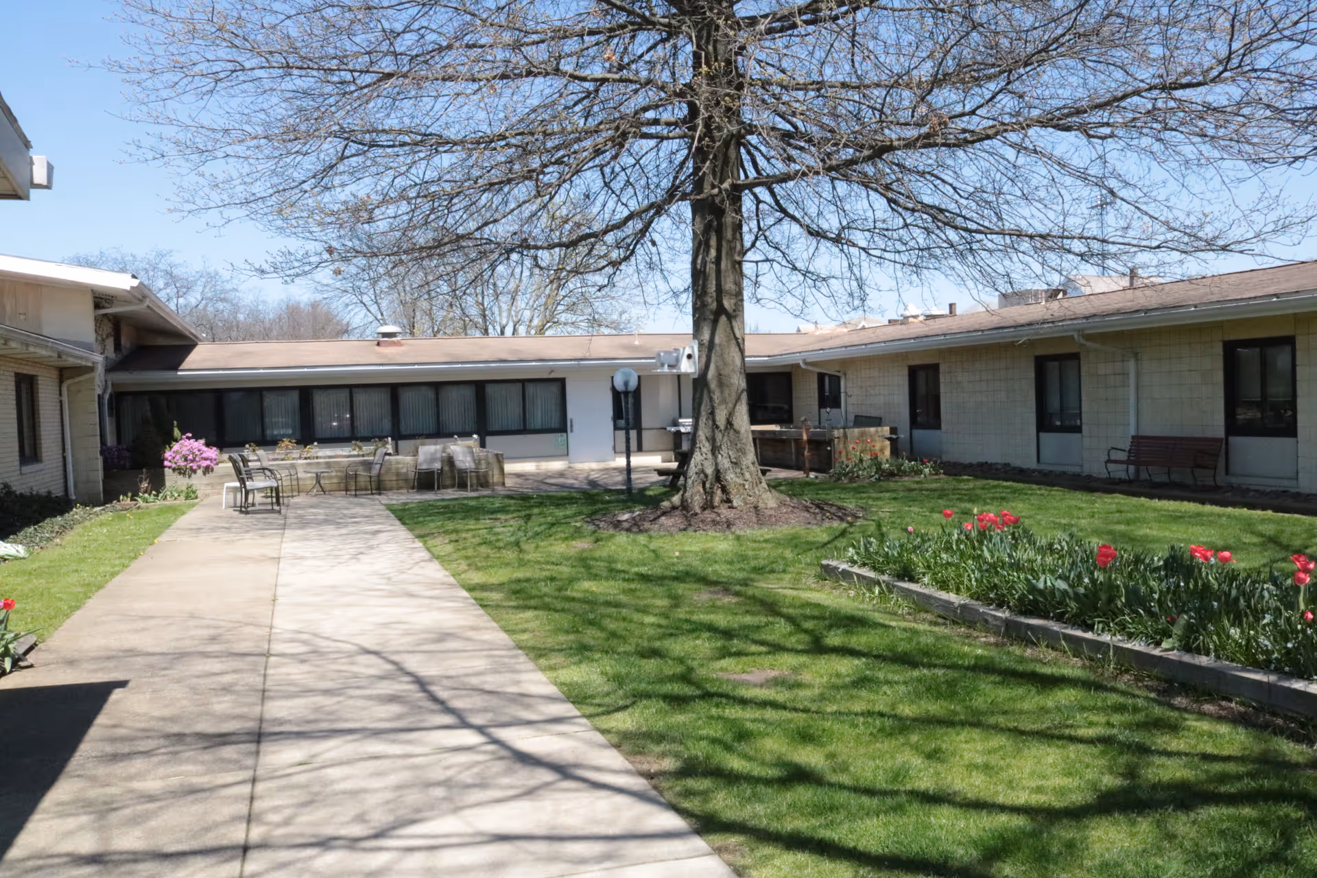 Sunny courtyard with a large tree, paved walkway, lawn, flowerbeds, chairs and a single-story building surrounding it.