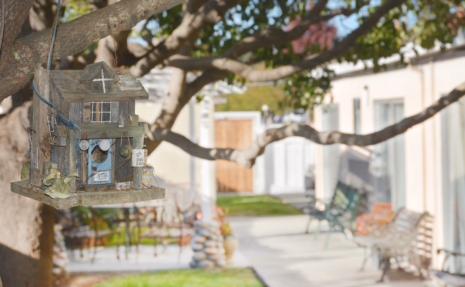 A rustic wooden birdhouse hanging from a tree branch with a sunlit courtyard, benches, and a building blurred in the background.