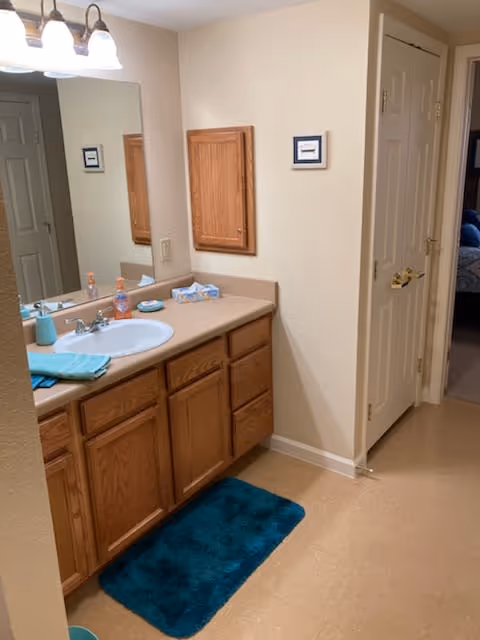 Bathroom vanity area with a large mirror, wooden cabinets, a white sink, soap dispenser, tissue box, and a teal bath mat on the floor. A closed door and a small framed picture are visible on the adjacent wall.
