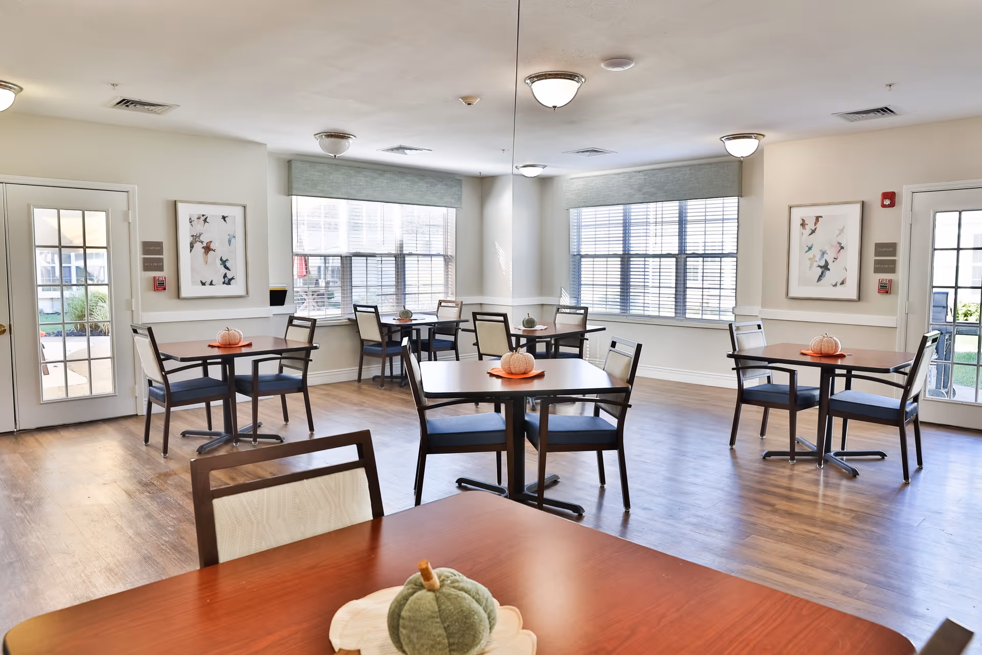 A bright and clean dining area in a senior living facility with several square wooden tables, each surrounded by four chairs. Small decorative pumpkins are placed on each table. Large windows with blinds allow natural light to fill the room. The walls are light-colored and adorned with framed artwork featuring birds. Two glass doors lead outside, and the floor is a warm-toned wood.