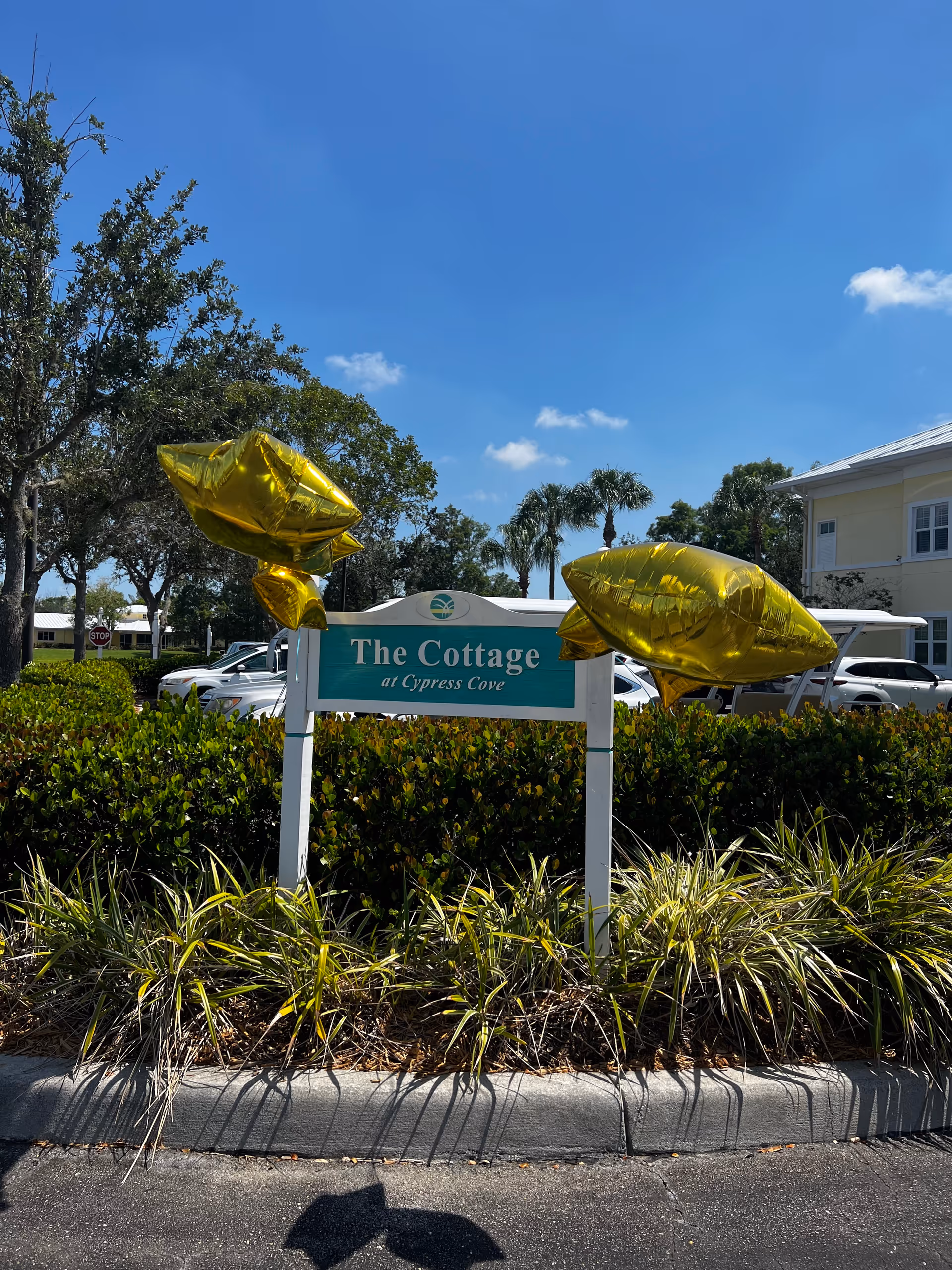 Outdoor view of a sign that reads 'The Cottage at Cypress Cove' surrounded by green bushes and plants, with gold star-shaped balloons attached to the sign. There are trees, parked cars, and a building in the background under a clear blue sky.