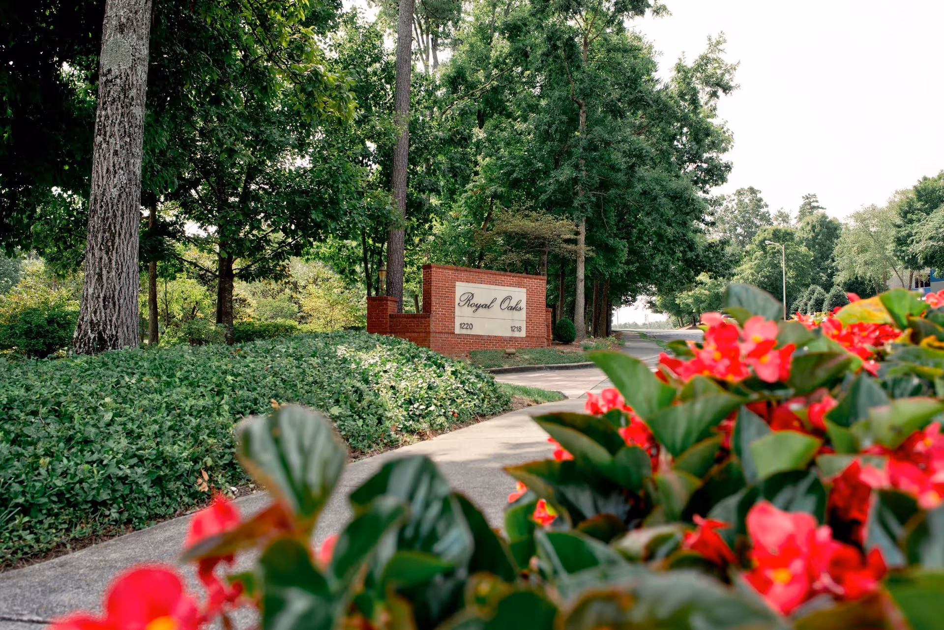 A landscaped outdoor area with vibrant red flowers in the foreground, a paved walkway, green bushes, tall trees, and a brick sign that reads 'Royal Oaks' with the numbers 1220 and 1218.