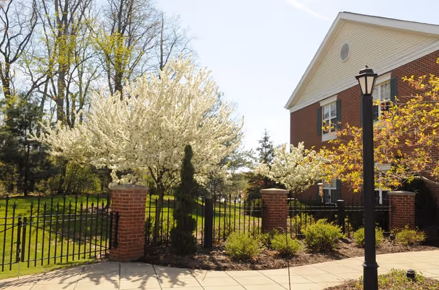 Outdoor view of a senior living facility with a brick building partially visible on the right, a black metal fence with brick pillars, blooming white flowering trees, green shrubs, and a black lamppost along a paved walkway under a clear sky.
