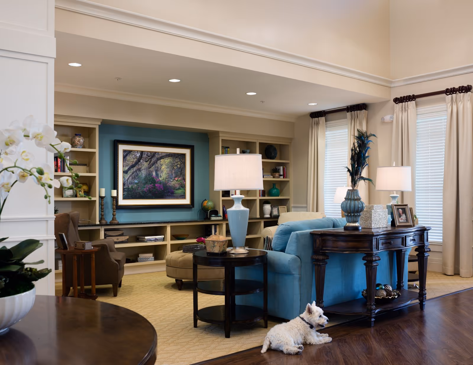 Bright living room with a blue sofa, wooden tables, built-in shelving, lamps and artwork, and a small white dog lying on the floor.
