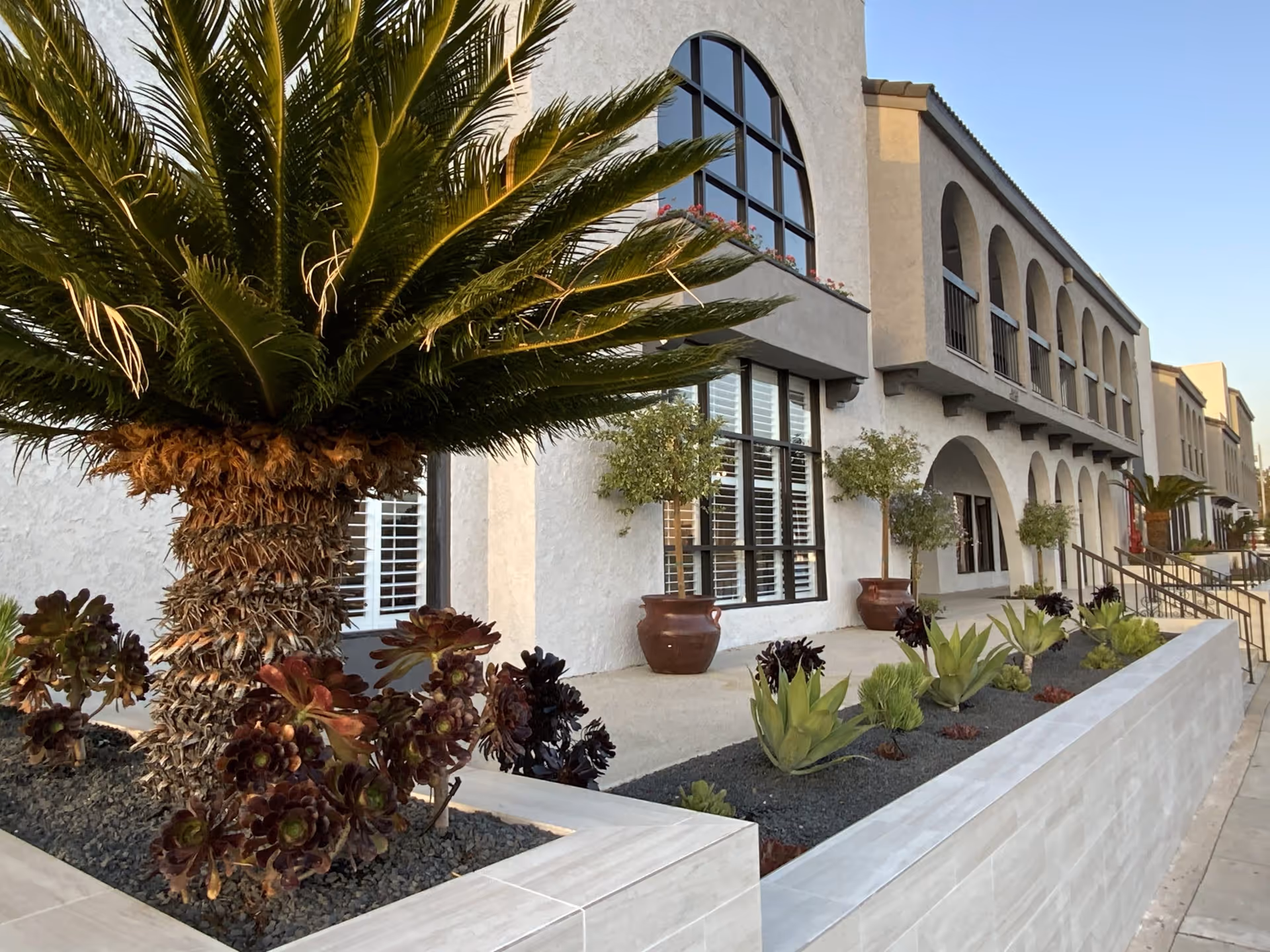 Exterior view of a building with arched windows and balconies, surrounded by landscaped planters containing palm trees and various succulents, under a clear blue sky.