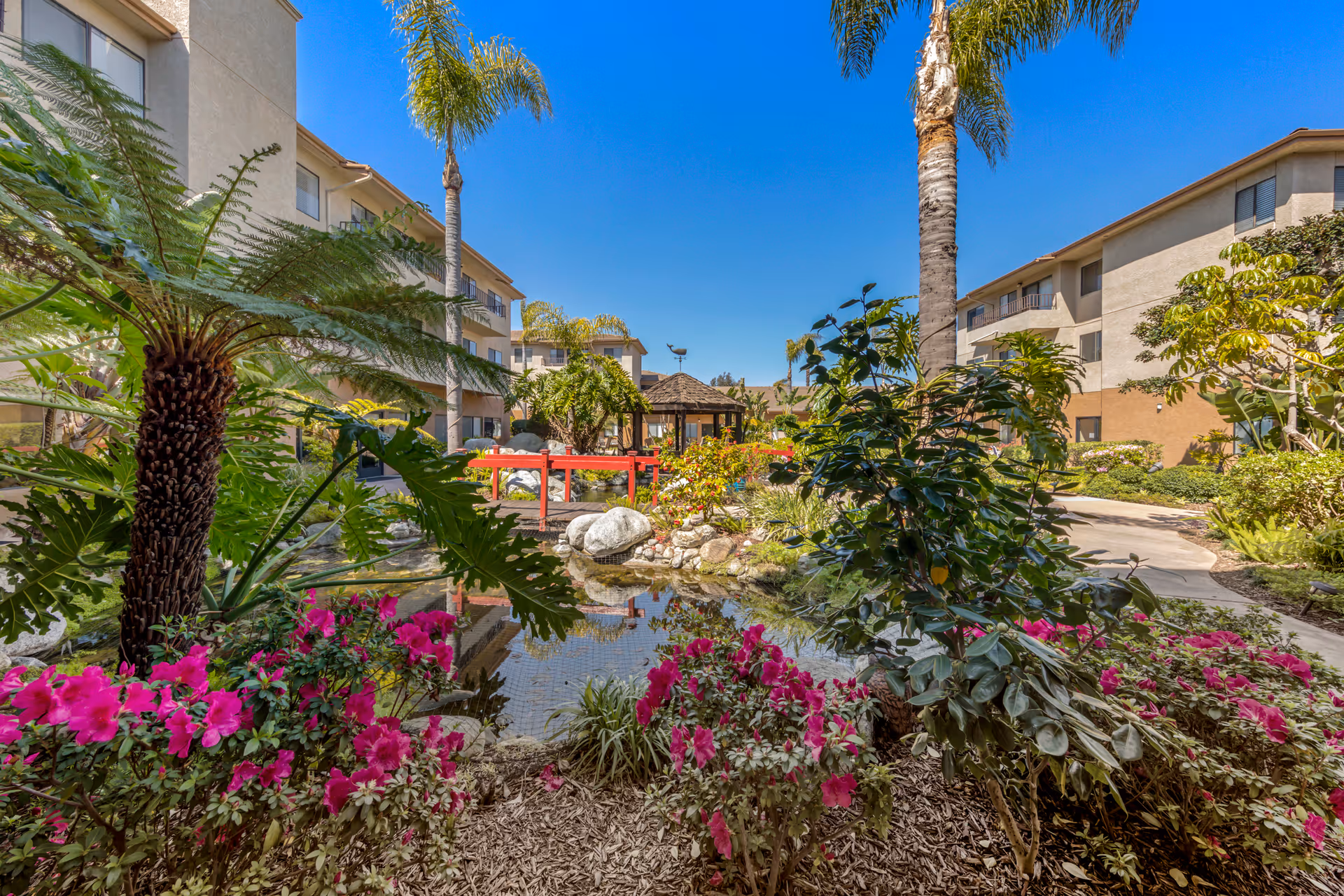 A landscaped outdoor garden area at Brookdale South Bay featuring a small pond surrounded by vibrant pink flowers, various green plants, palm trees, and a red wooden bridge. The garden is situated between two beige multi-story buildings under a clear blue sky.