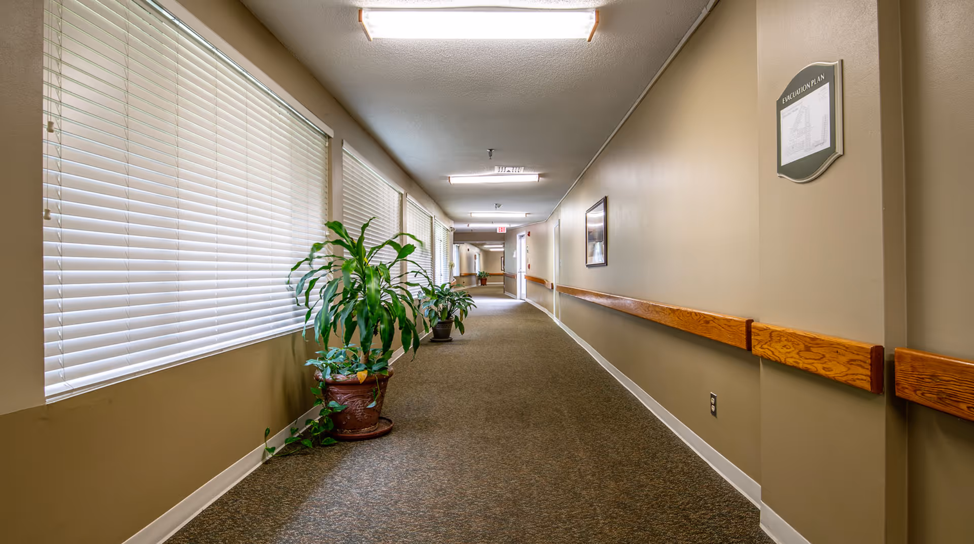 A long, well-lit hallway in a senior living facility with beige walls, carpeted floor, and wooden handrails on the right side. Large windows with white blinds are on the left, and several potted plants are placed along the hallway. There is an evacuation plan sign on the right wall and fluorescent ceiling lights.