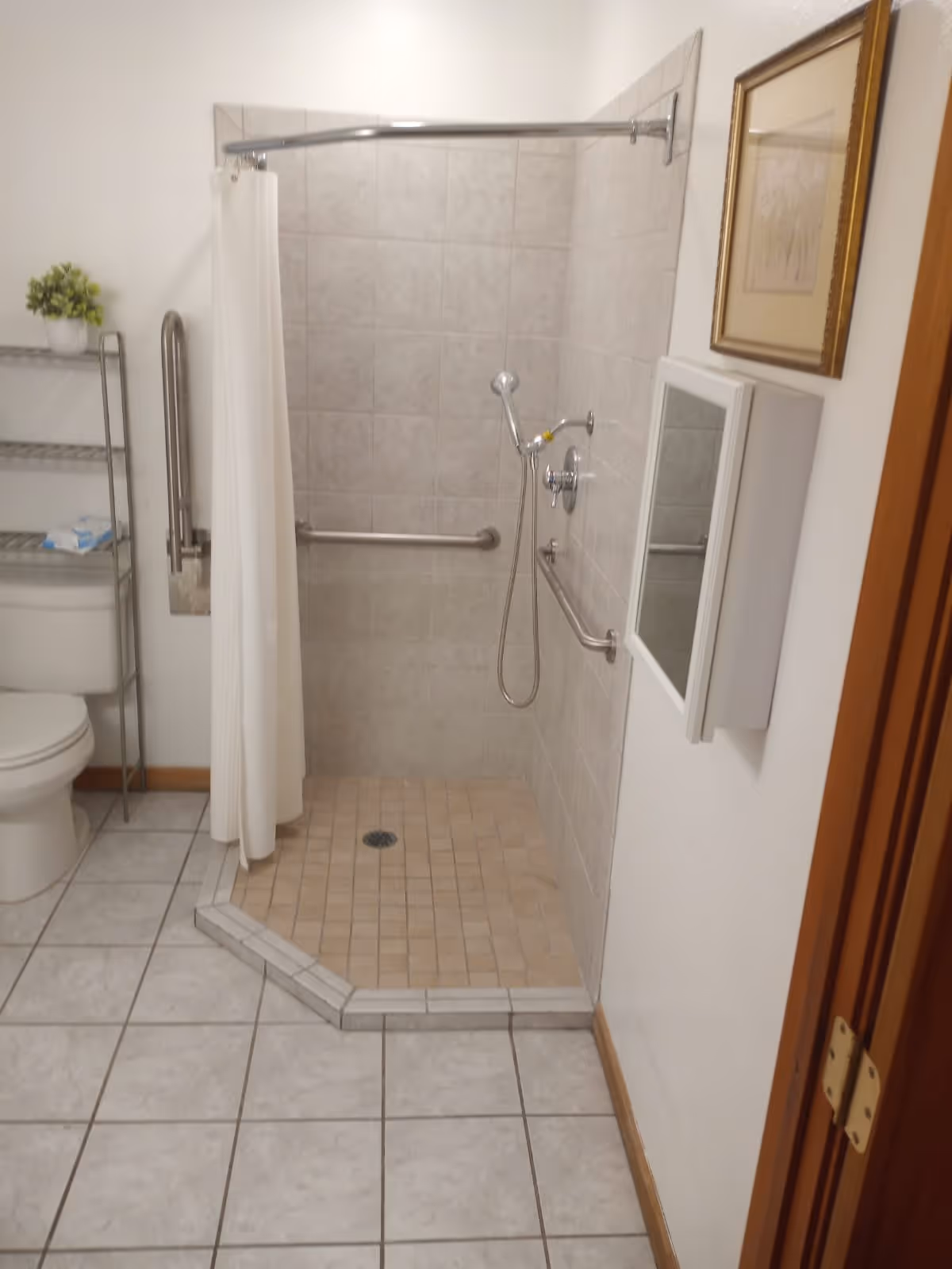 A bathroom with a tiled walk-in shower featuring a handheld showerhead and grab bars. There is a white shower curtain on a curved rod, a toilet with a metal shelving unit above it holding a small potted plant and some items, and a wall-mounted medicine cabinet with a mirror. A framed picture hangs on the wall next to the cabinet.