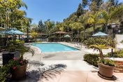 Outdoor swimming pool area surrounded by lounge chairs and umbrellas, with palm trees and other greenery in the background under a clear blue sky.