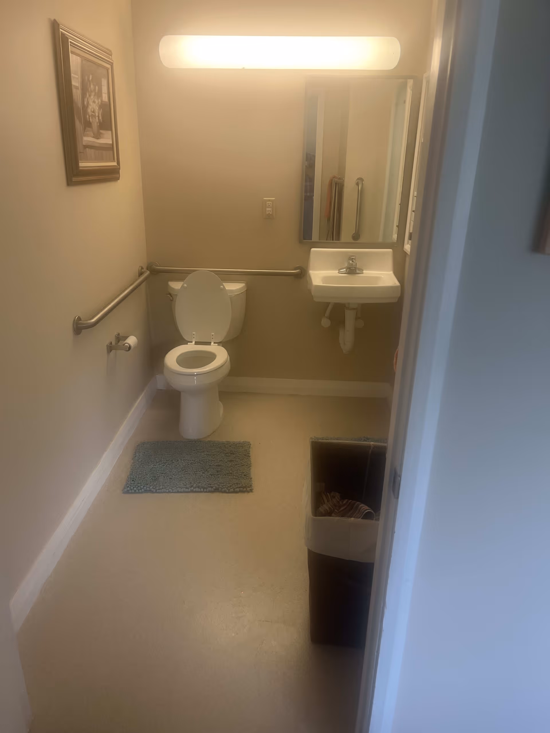 A small bathroom with a white toilet, a blue bath mat in front of it, a white wall-mounted sink with a mirror above it, and a trash bin to the right. There are handrails on the walls for support and a framed picture hanging on the left wall. The lighting fixture above the mirror is turned on.
