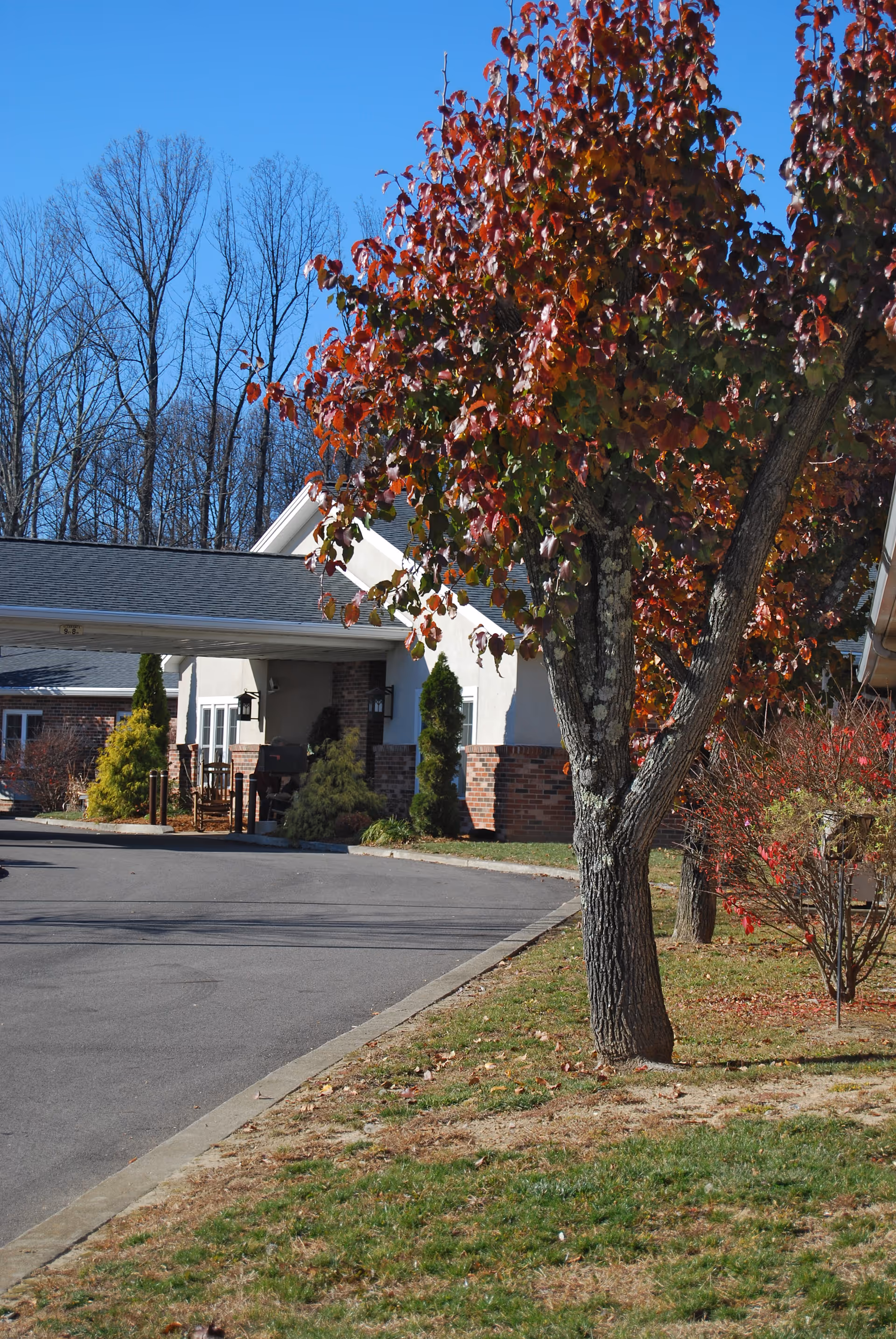 Exterior view of a senior living facility with a driveway, a tree with red and green leaves, and a building entrance with a covered porch and some greenery around.