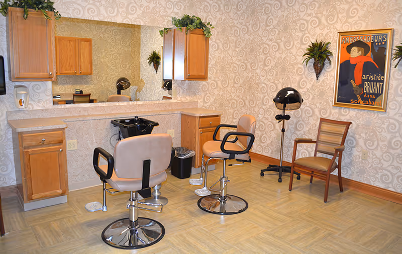 A small salon area with two salon chairs in front of a counter with a sink and large mirror. The walls have a patterned wallpaper with two small plants mounted on the wall and a framed vintage poster. There is a hair dryer on a stand and an additional wooden chair against the wall.