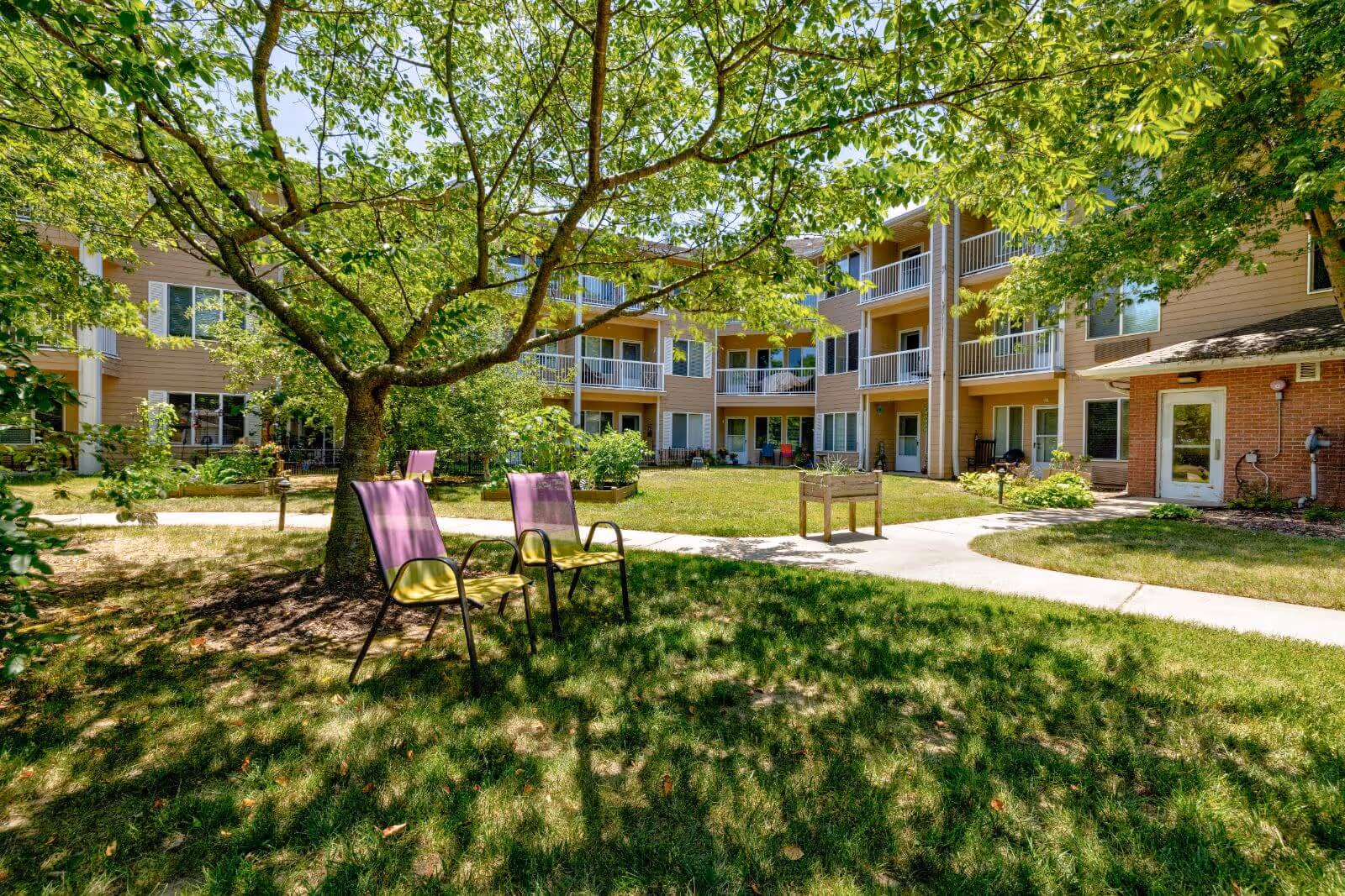 Outdoor courtyard area of Morada Rogers facility with green grass, a large tree providing shade, two purple and green chairs under the tree, a paved walkway, and a three-story building with balconies in the background.