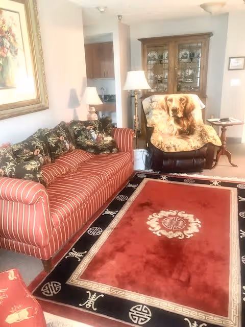 A cozy living room featuring a red and black area rug with Asian-inspired patterns, a red striped sofa with floral cushions, a brown recliner chair with a dog-themed blanket draped over it, a wooden cabinet with glass doors in the background, a side table with a lamp, and a framed painting on the wall.