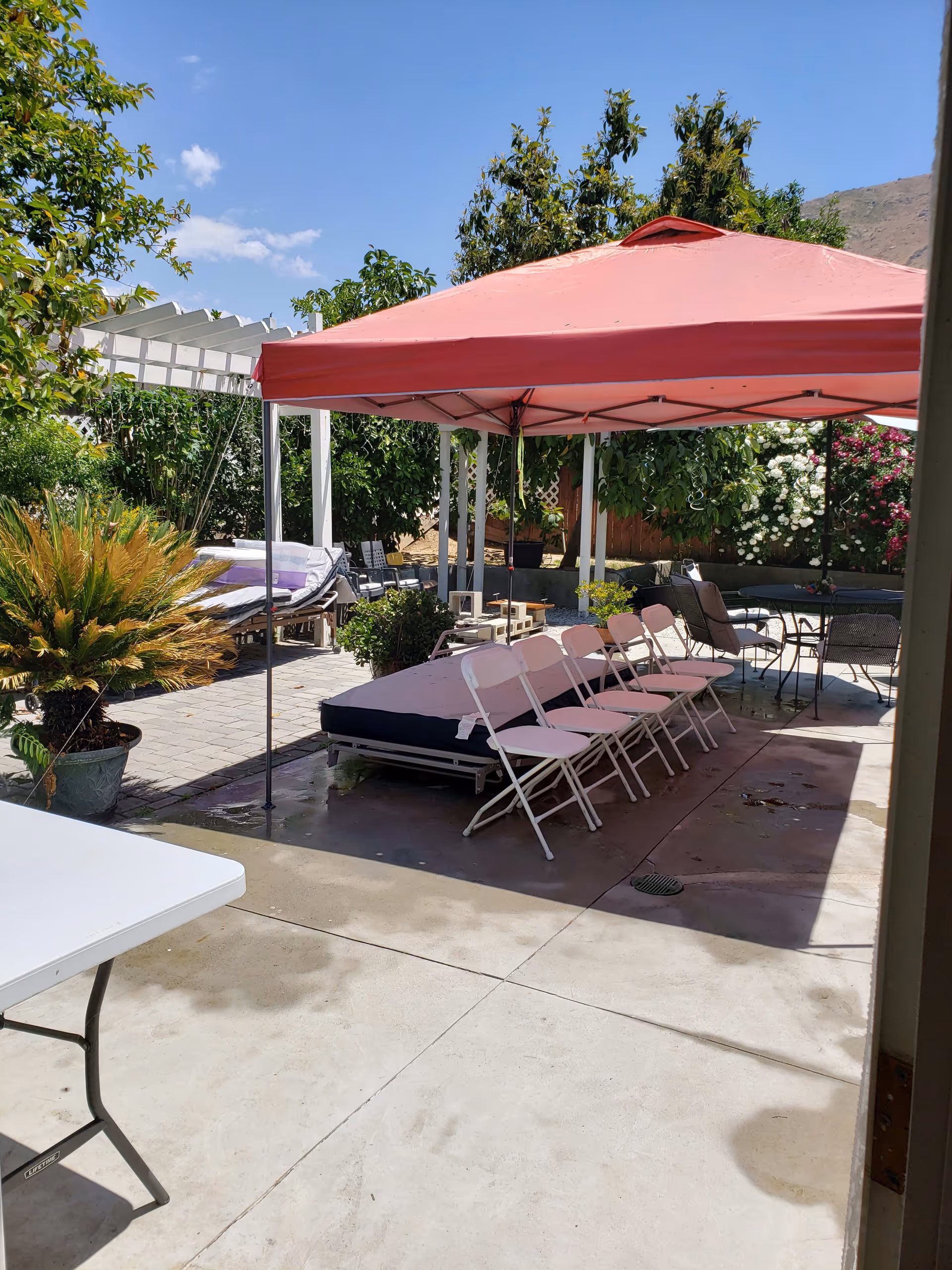 Outdoor patio area with a red canopy tent covering a row of white folding chairs and a mattress on the ground. Surrounding the patio are various plants, trees, and flowering bushes under a clear blue sky.