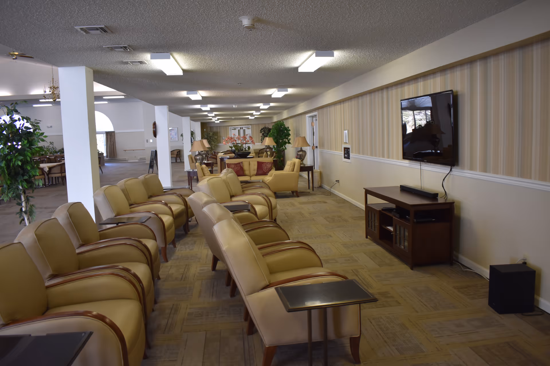 A long room with two rows of beige armchairs facing a wall-mounted flat screen TV. The room has beige patterned carpet, striped wallpaper, and several plants and lamps. In the background, there are more seating areas and tables.