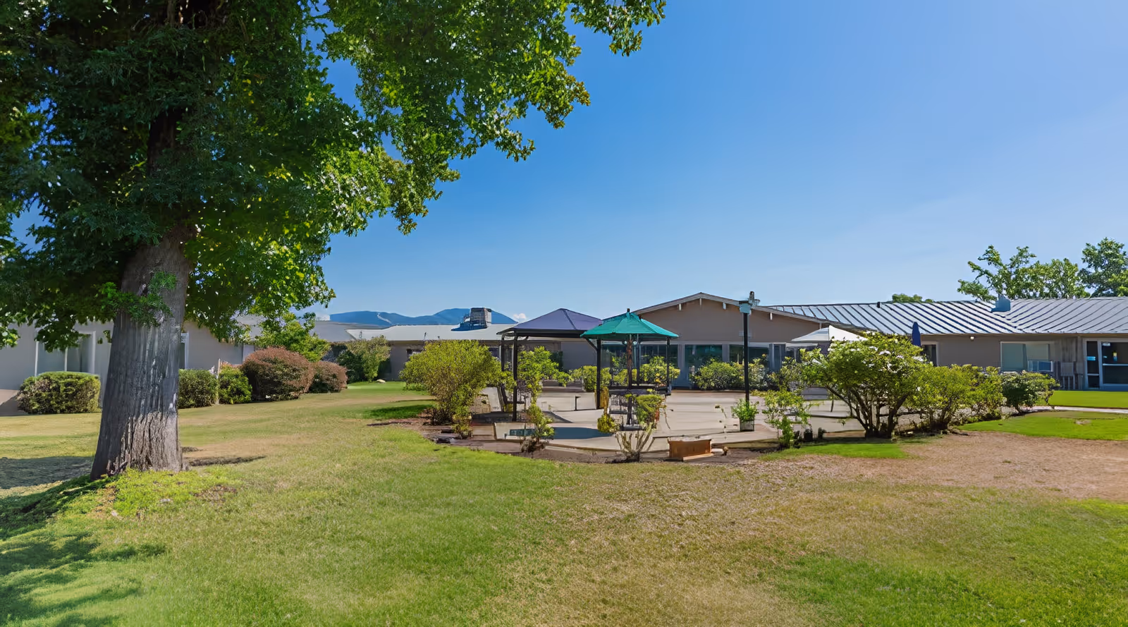 Outdoor garden area at Royale Gardens Health & Rehabilitation Center with green grass, large trees, bushes, and a patio area with umbrellas and seating. The building is visible in the background under a clear blue sky.