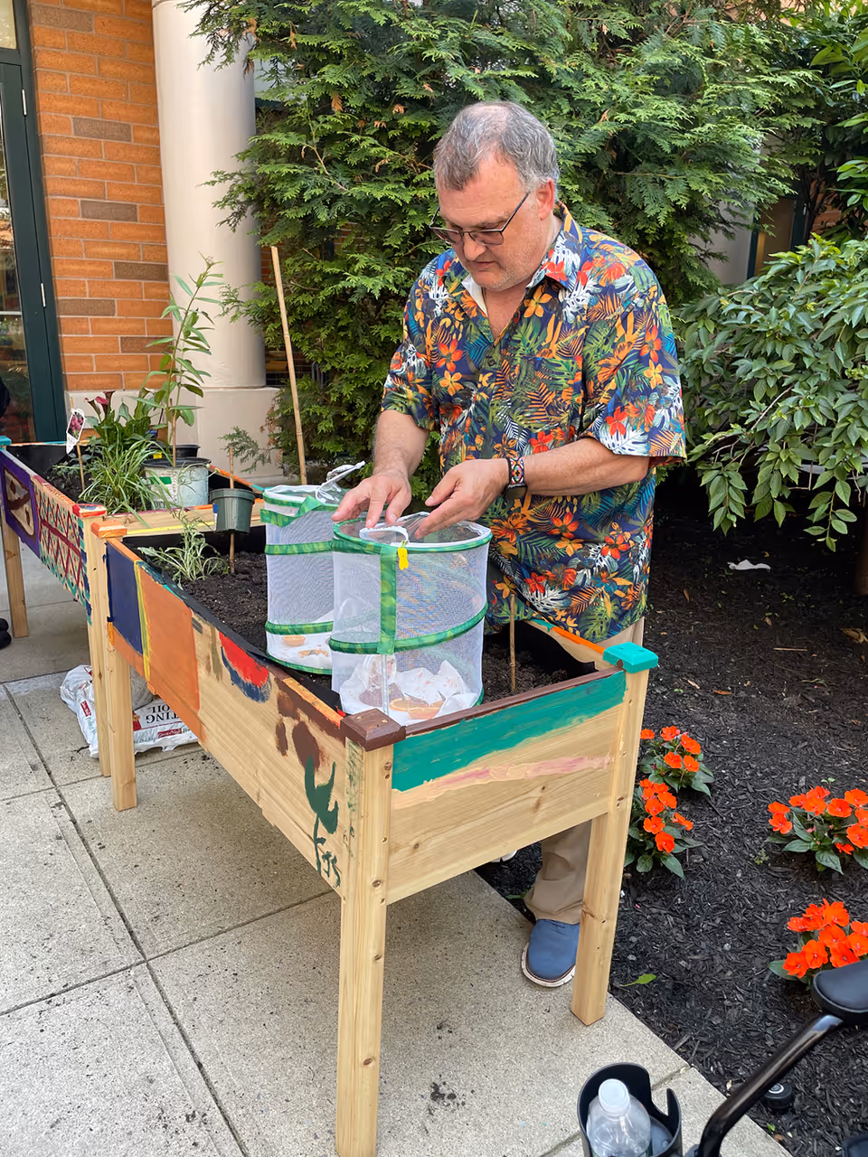 A person in a colorful floral shirt tends a raised wooden planter in an outdoor courtyard garden.
