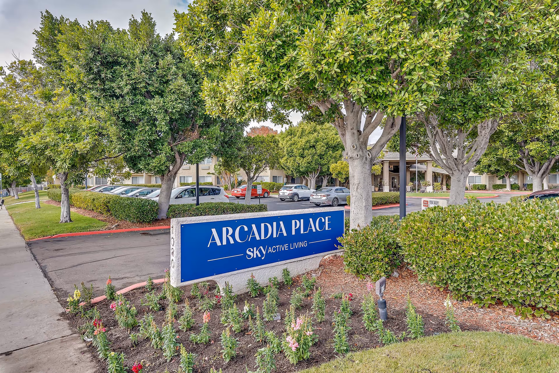 Outdoor view of Arcadia Place Senior Living facility entrance with a blue sign reading 'Arcadia Place Sky Active Living' surrounded by trees, bushes, and flower beds, with parked cars and the building visible in the background.