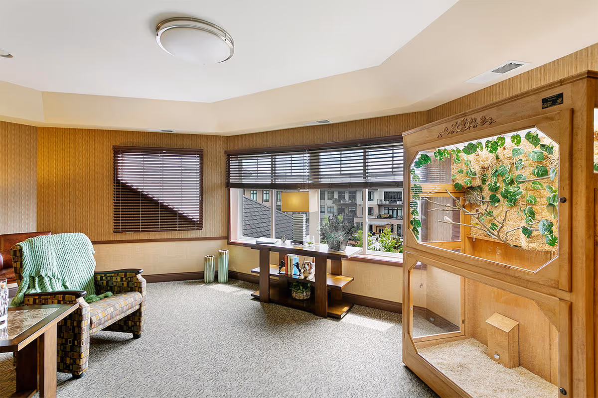 A cozy living room area with a patterned armchair draped with a green blanket, a wooden side table, and a large window with blinds partially open showing an outdoor view. There is a wooden display cabinet with plants and branches inside, a small wooden table with decorative items, and a ceiling light fixture.