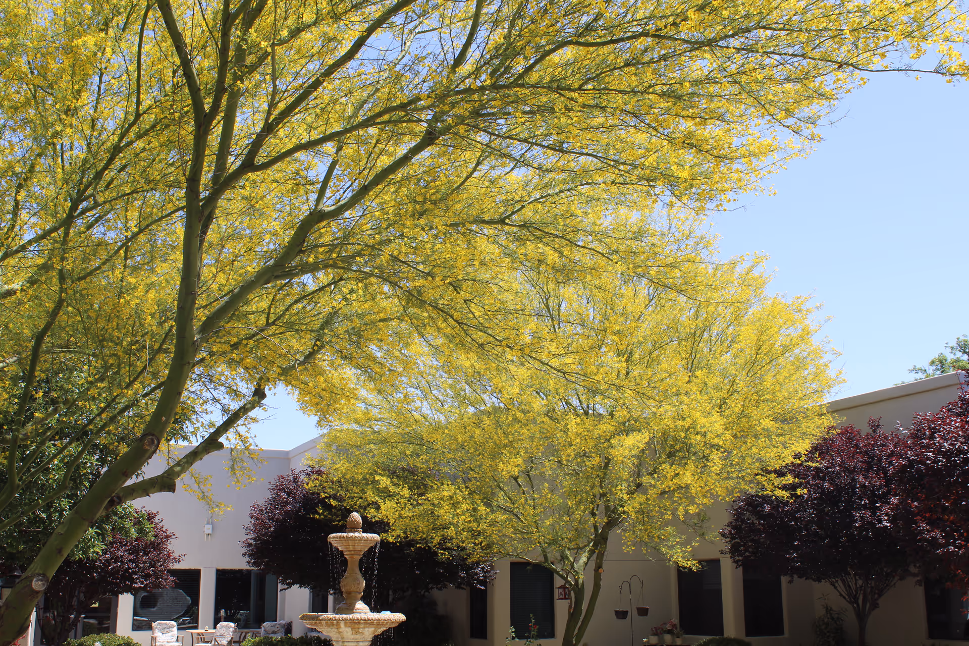 Outdoor courtyard area with a stone fountain in the center, surrounded by trees with yellow and dark red foliage, and a building with windows in the background under a clear blue sky.