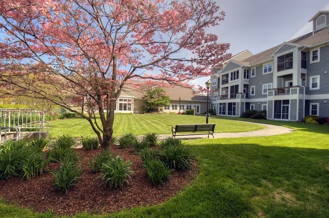 Landscaped courtyard with a flowering tree, bench, and a multi-story senior living building with balconies.