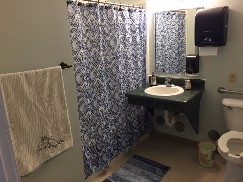 A bathroom with a blue and white patterned shower curtain, a green countertop with a white sink, a mirror above the sink, a towel hanging on a rack with an owl design, a toilet, a small trash can, and a blue striped bath mat on the floor.
