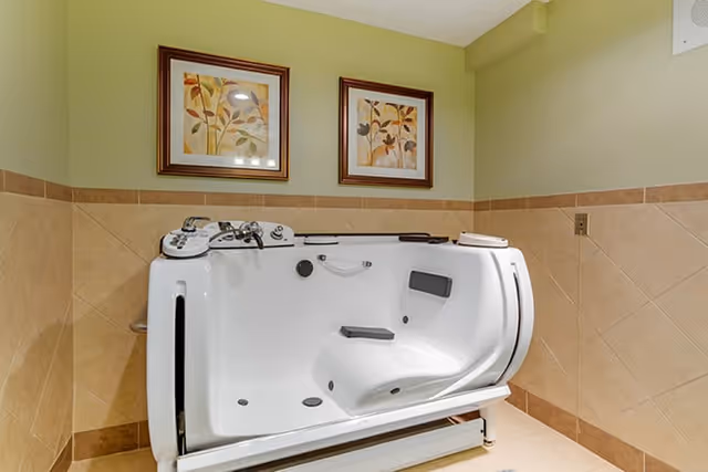 A walk-in bathtub with built-in seat and handrails in a tiled bathroom. The walls are painted light green above beige tiles, and two framed botanical prints hang on the wall above the tub.