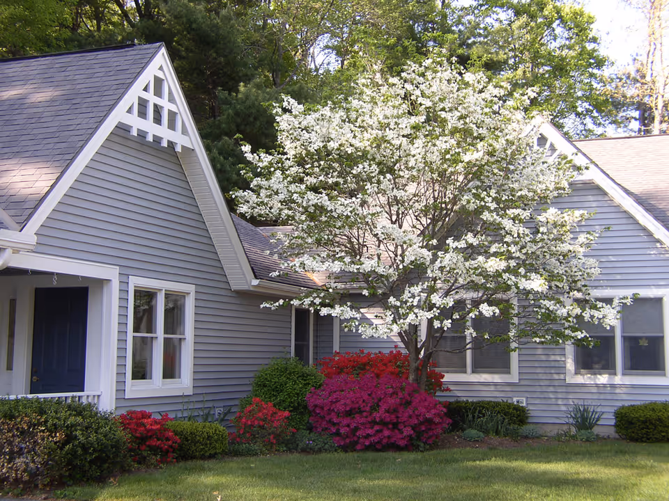 Gray single-story house with white trim, a blooming white-flowered tree and colorful shrubs on a green lawn.