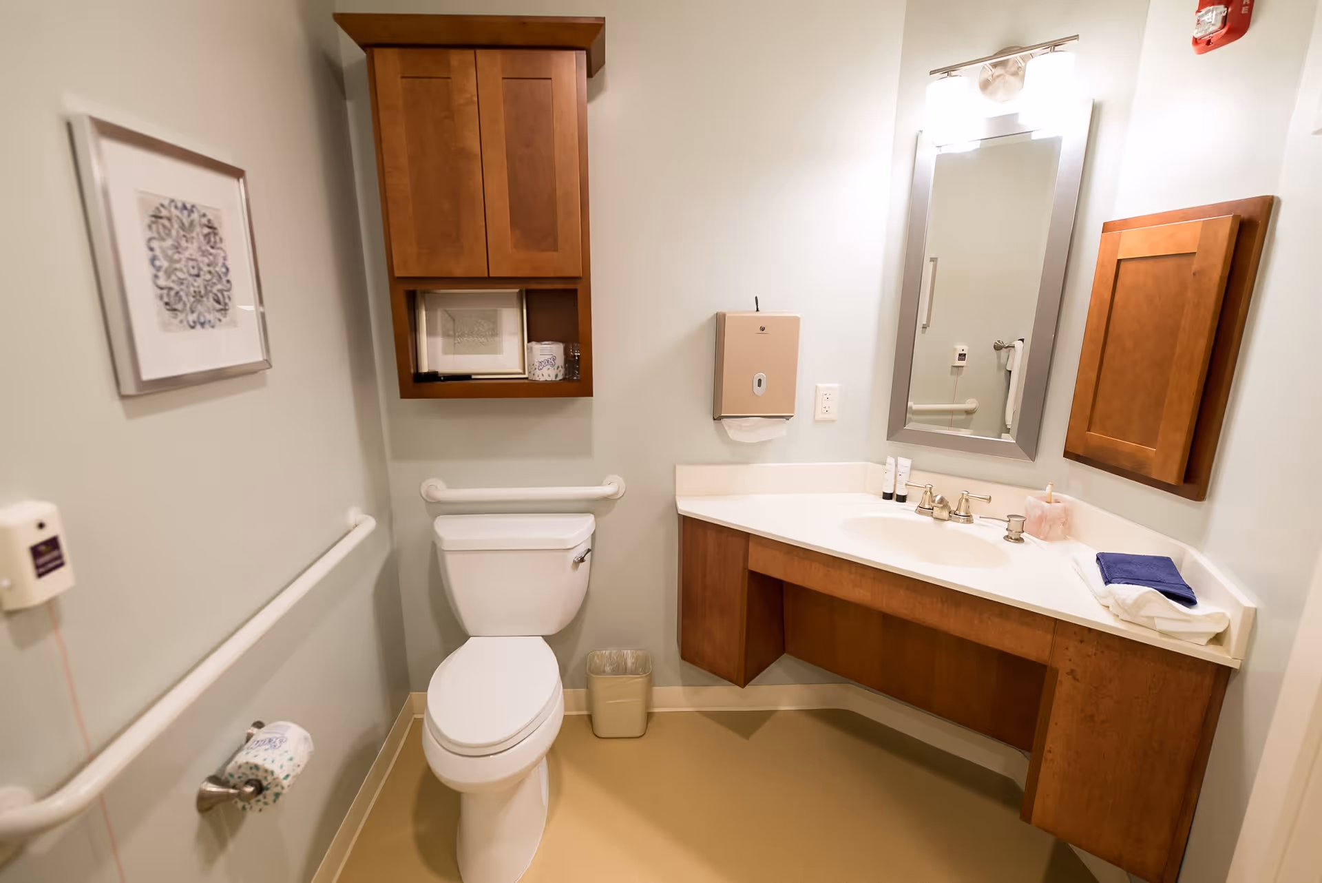 A clean, accessible bathroom with a white toilet, wooden cabinets, a large mirror above a white sink with a wooden vanity, grab bars on the walls, a framed picture, and a paper towel dispenser.