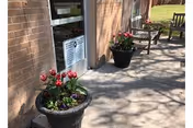 Concrete walkway beside a brick building with potted flowering plants and outdoor chairs in sunlight.
