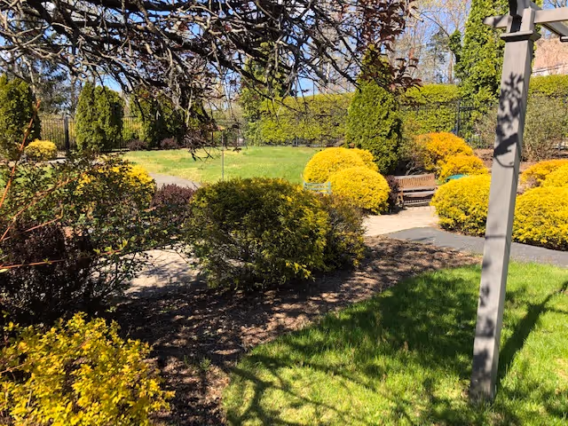 A sunny outdoor garden area with green grass, various bushes, and shrubs. There is a paved walkway winding through the garden, a wooden bench, and a tall lamp post casting shadows on the ground. Trees and a fence are visible in the background under a clear blue sky.