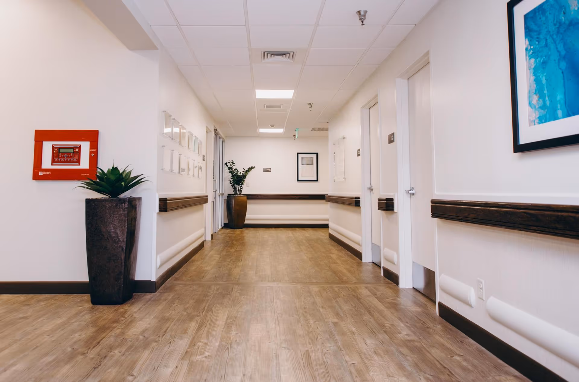 A clean, well-lit hallway in a senior living facility with wood-look flooring, white walls, handrails on both sides, a large potted plant on the left, framed artwork on the right wall, and several closed doors along the corridor.