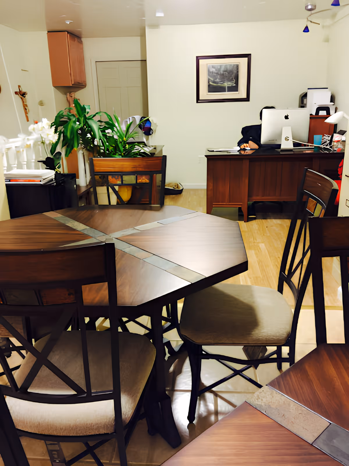 Dining area with a wooden table and chairs, potted plants, and a desk with a computer in the background.