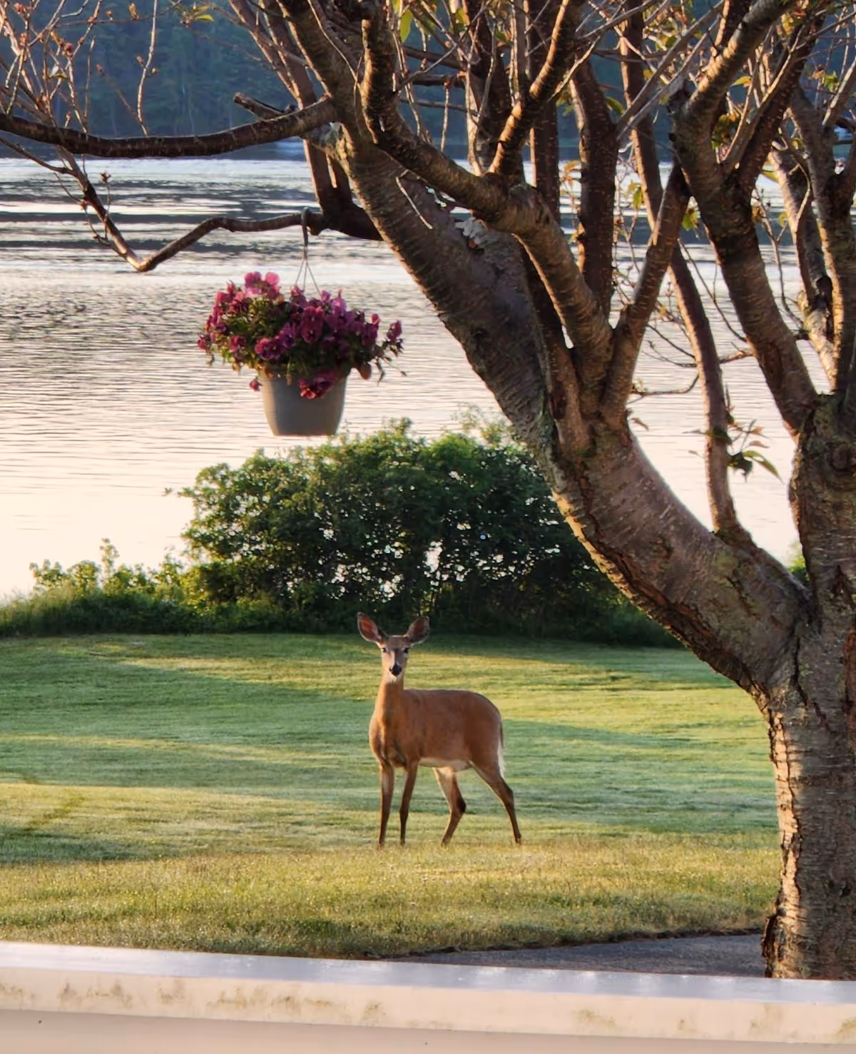 Photo 14 of Plant Memorial Home